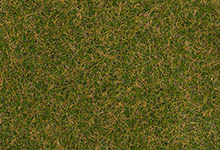 055-170209 - H0/TT/N - Streufasern Wildgras, braungrün, 4 mm, 30 g